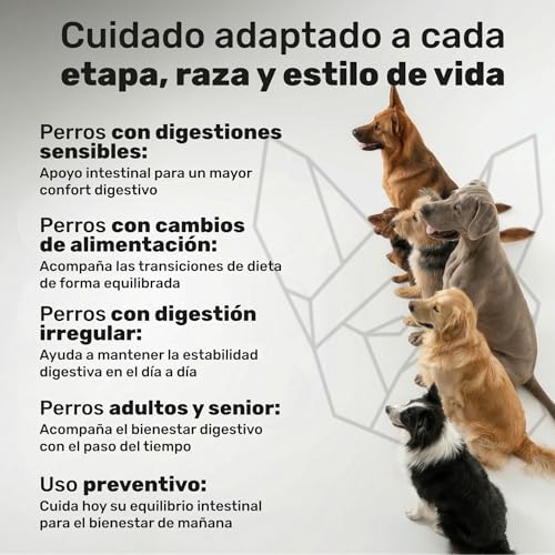 Thumbnail 6 de Probiótico para Perros de natuva pets – Repara la Flora Intestinal y Refuerza el Sistema Inmunológico