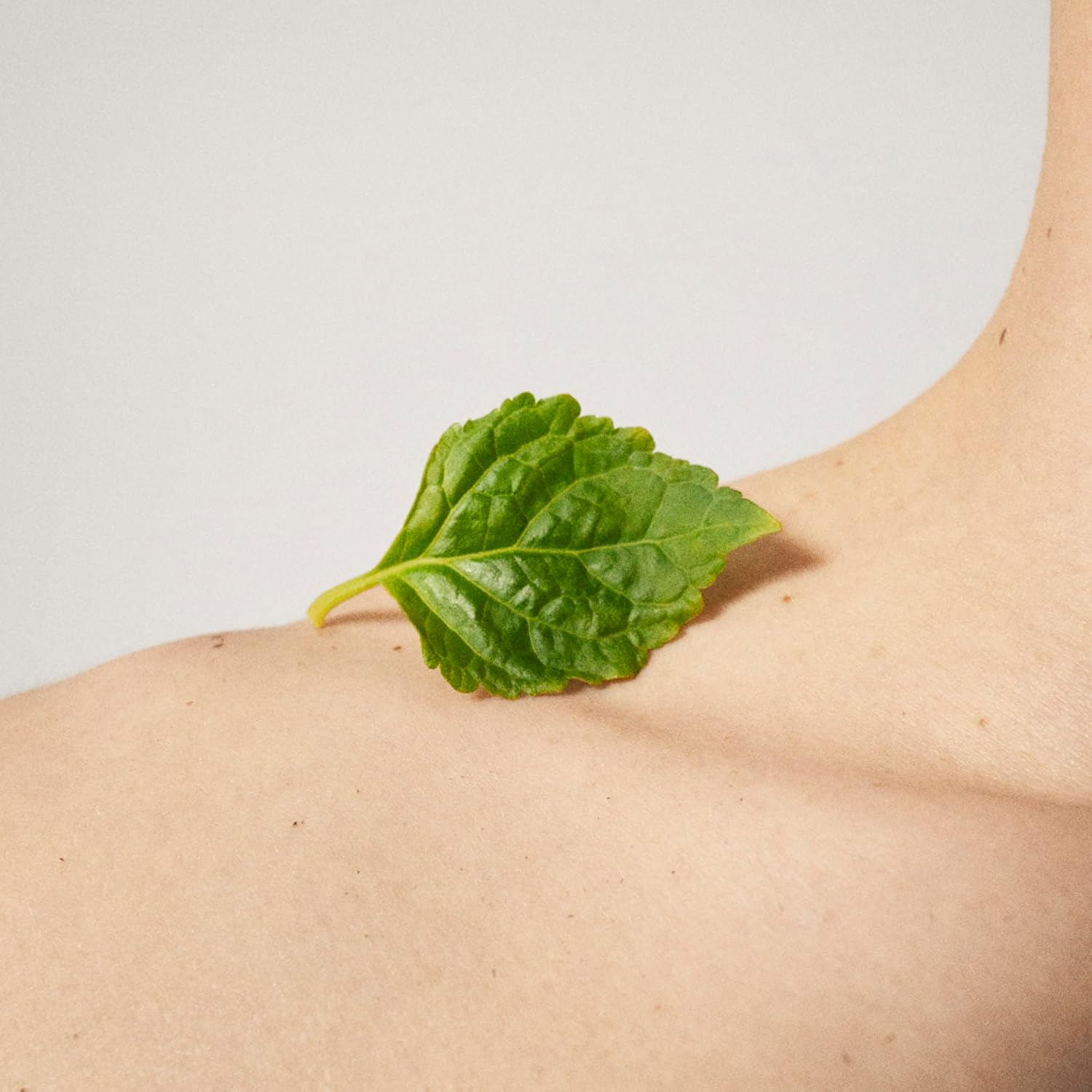 Thumbnail 5 de Tommy Hilfiger Tommy Eau de Toilette (50 ml) – Herren-Parfüm mit Fougère- und Zitrusnoten