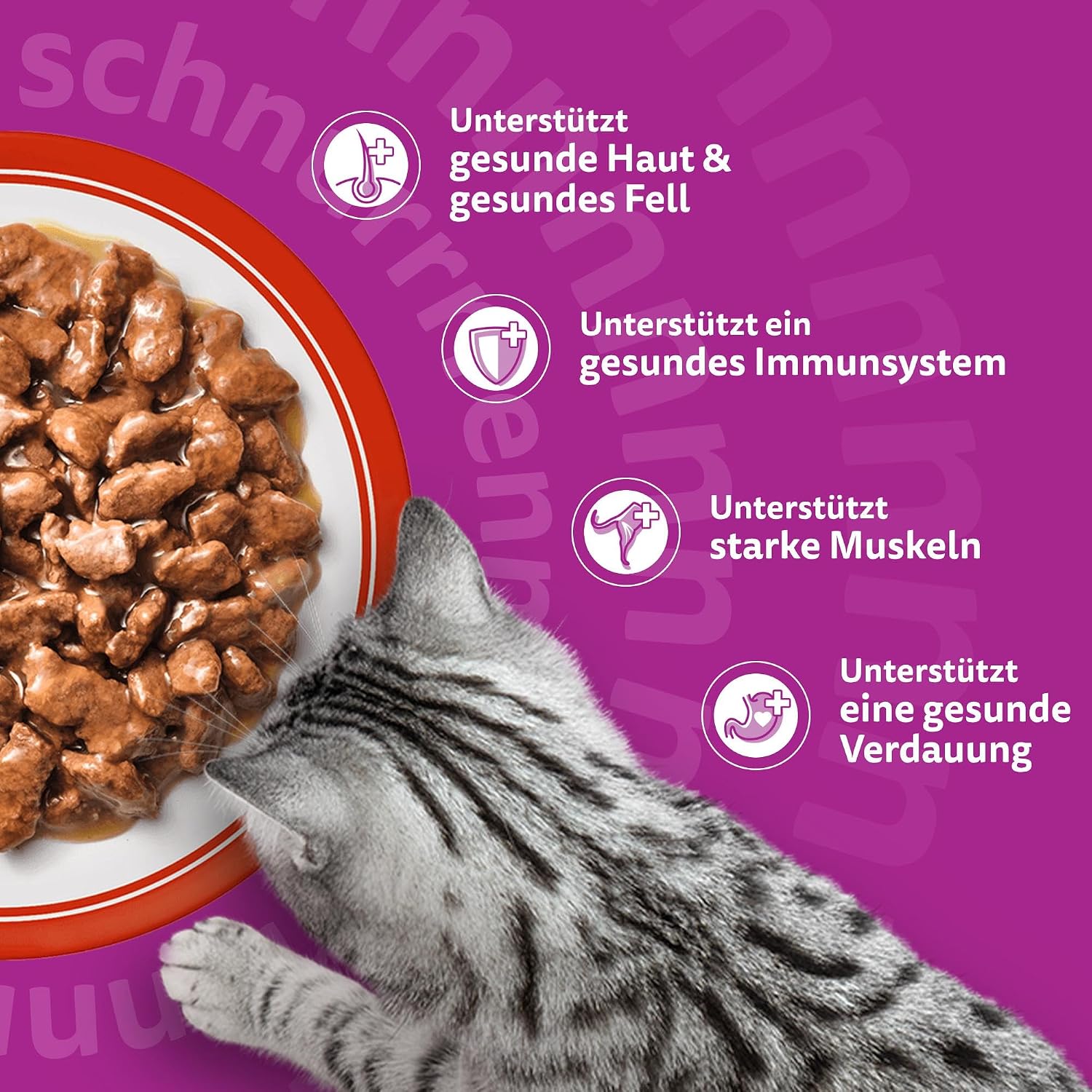 Detalle de WHISKAS Nassfutter in Sauce – Klassische Auswahl für Katzen (84 x 85 g)