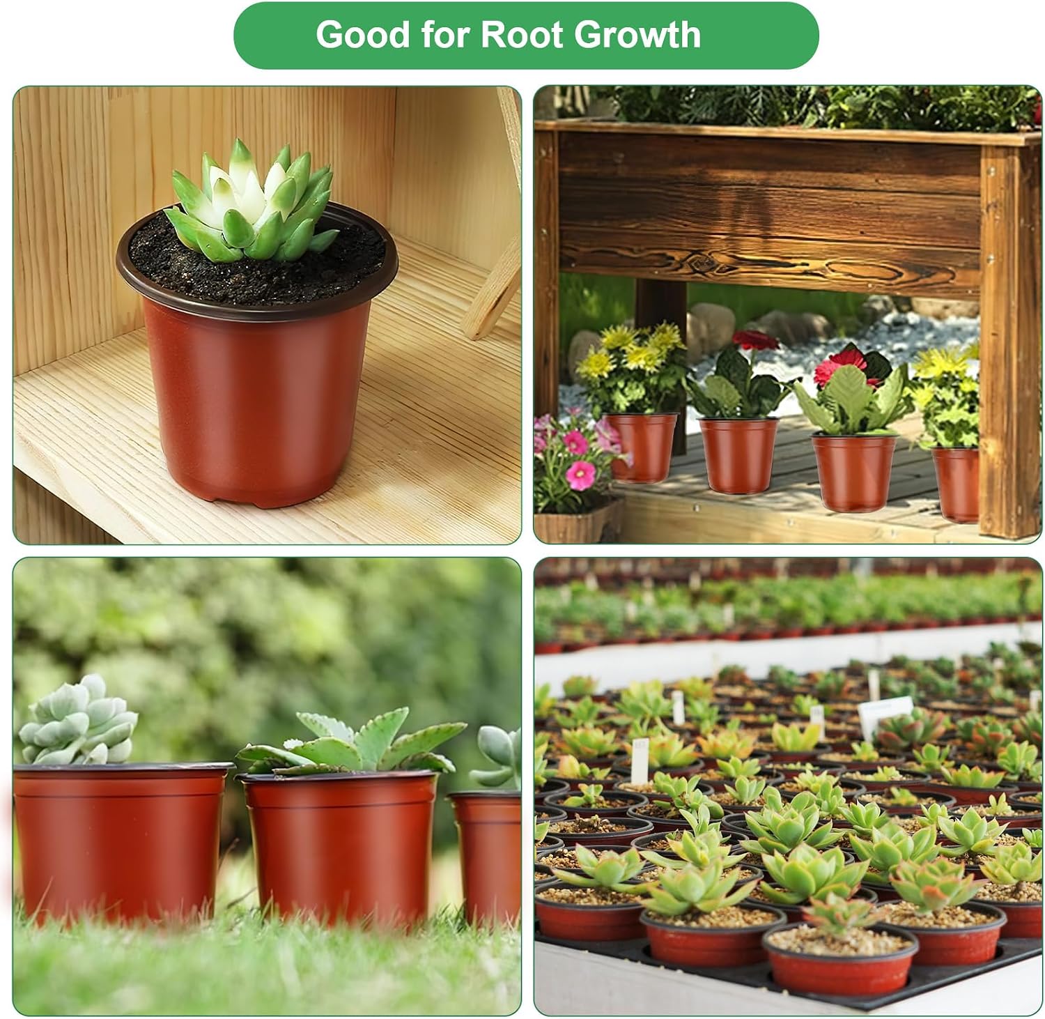 Thumbnail 5 de PEYOU 100Pcs Plant Pots 10cm reusable set