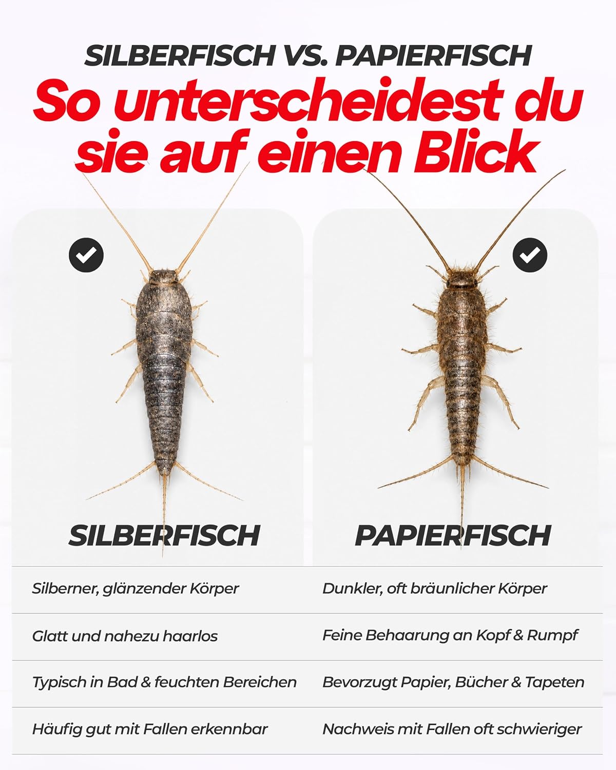 Thumbnail 5 de Aeroxon Silberfischfalle 10 Stück – diskrete, langfristige Lösung gegen Silberfische und Papierfische