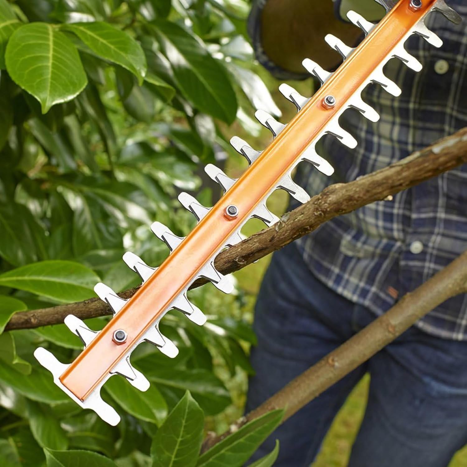Detalle de Black+Decker BEHT201-GB Hedge Trimmer (240 V, 45 cm)