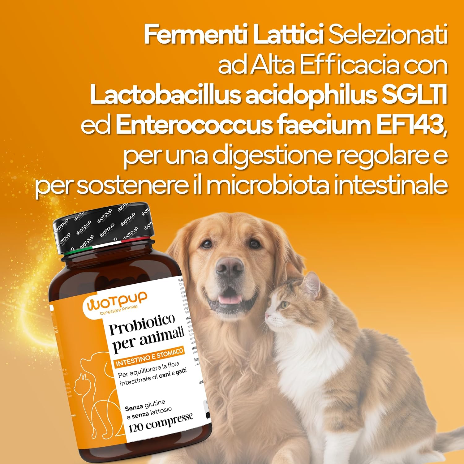 Detalle de PROBIOTICI PER CANI DI ALTA QUALITÀ con Fermenti lattici: supporto digestivo per cani e gatti