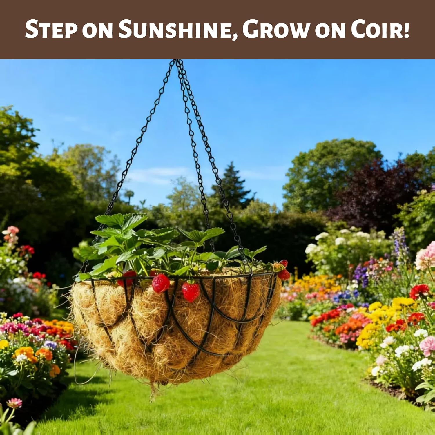 Thumbnail 4 de ApexTide Coco Liner Hanging Basket 35×17.5cm