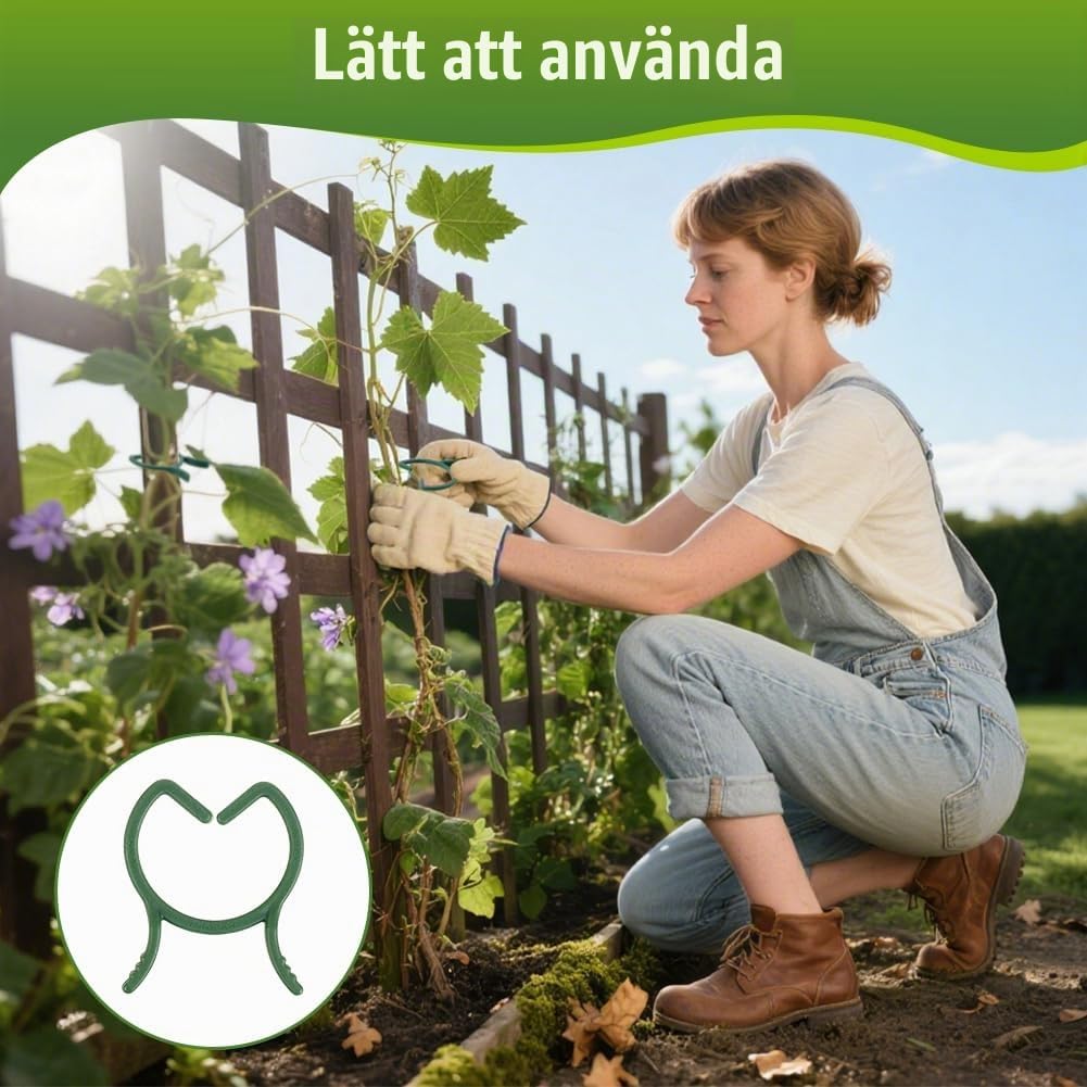 Detalle de ANOMM Växtklämmor (M), 210 gröna plastklämmor med 1,6 cm innerdiameter