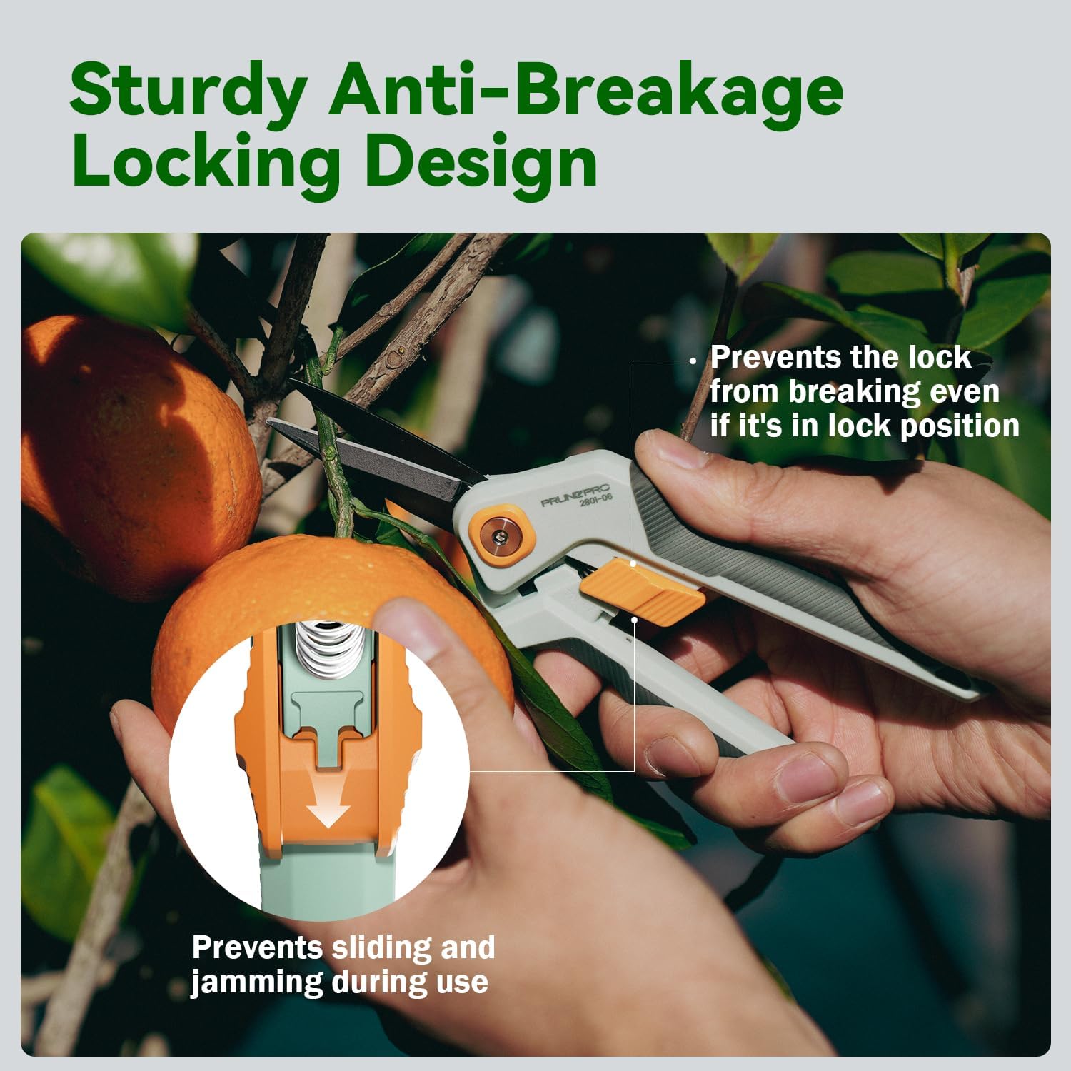 Thumbnail 4 de PrunePro PP-2801-01+06 Pruning Shears Set with Micro-Tip Scissors