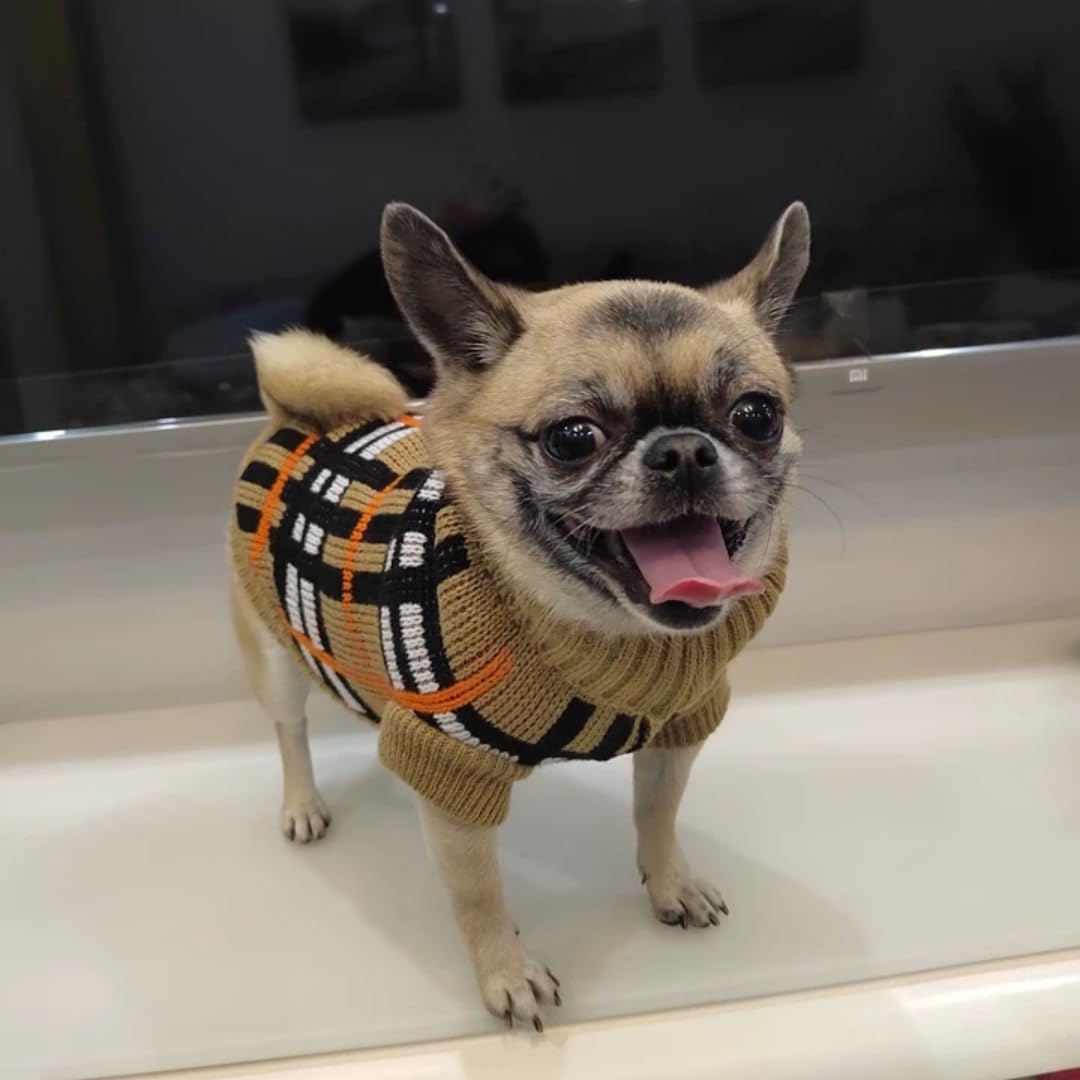 Detalle de Small Dog & Cat Jumper: Knitted Sweater Pullover for Teacup & Tiny Breeds (XL)