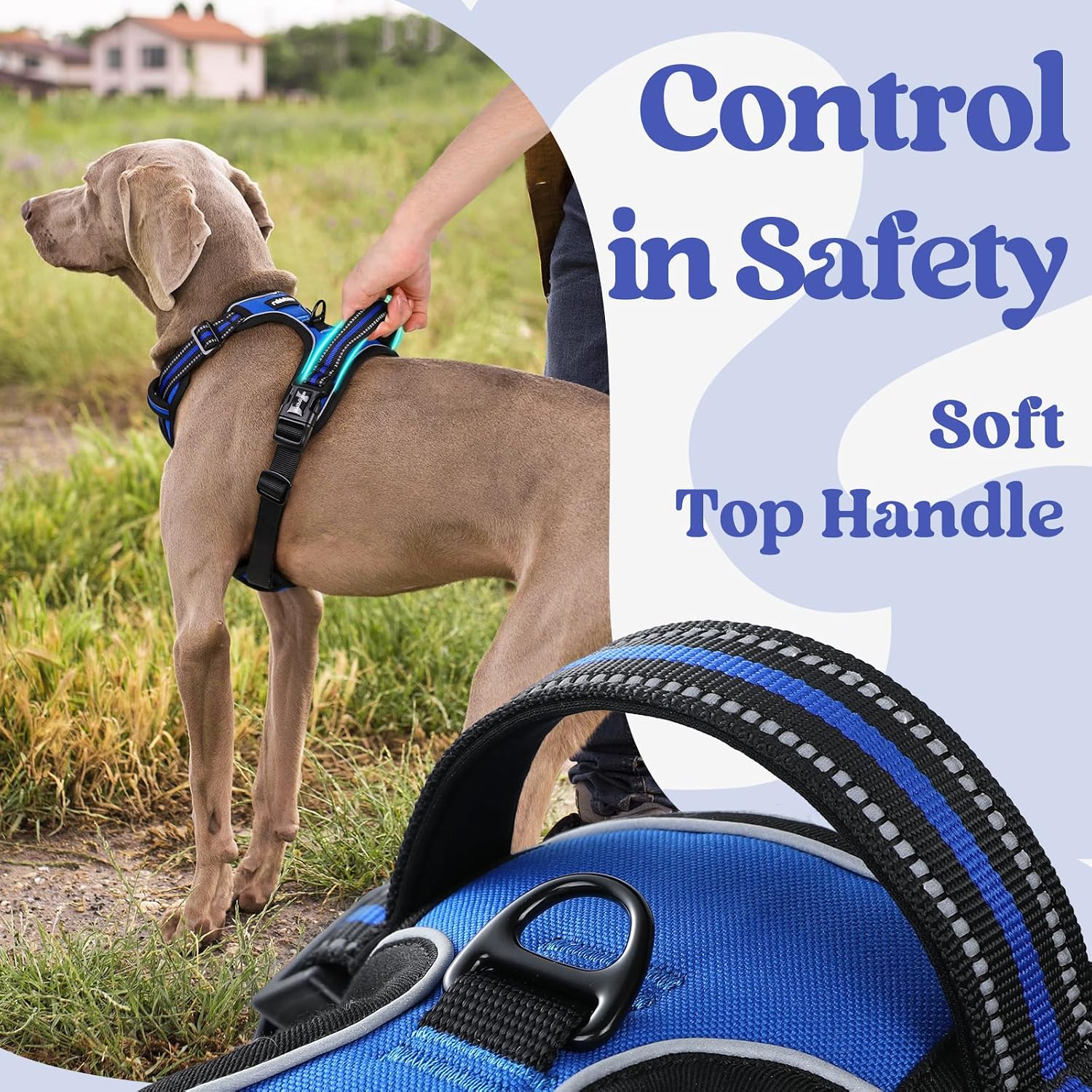 Thumbnail 4 de rabbitgoo Dog Harness Medium, Adjustable 
