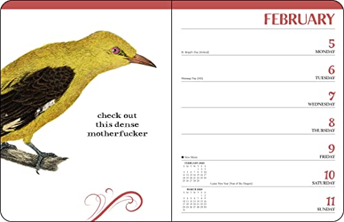 Thumbnail 4 de Effin' Birds Planner 2024 mensual/semanal 📅