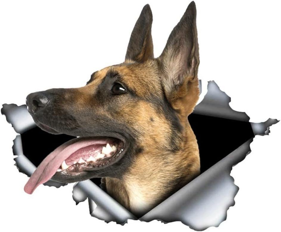 Thumbnail 6 de Autoaufkleber Belgische Malinois – 15 cm, reflektierendes 3D-Tiermotiv, wasserdicht