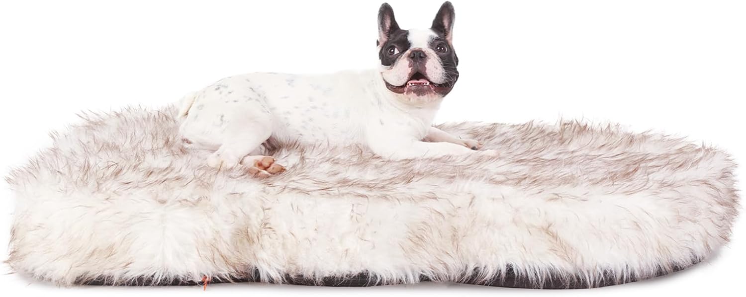 Thumbnail 6 de Laifug memory foam dog bed