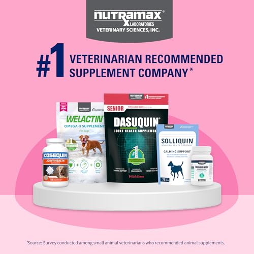 Thumbnail 10 de Nutramax Proviable Probiotics + Prebiotics for Dogs & Cats, 80 Capsules