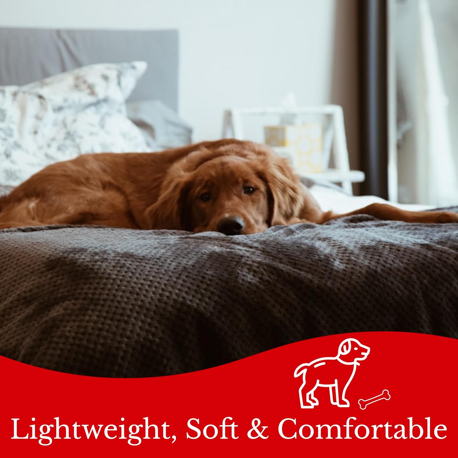 Thumbnail 5 de eBoutik Winter Fluffy Fleece Blanket 100x140cm