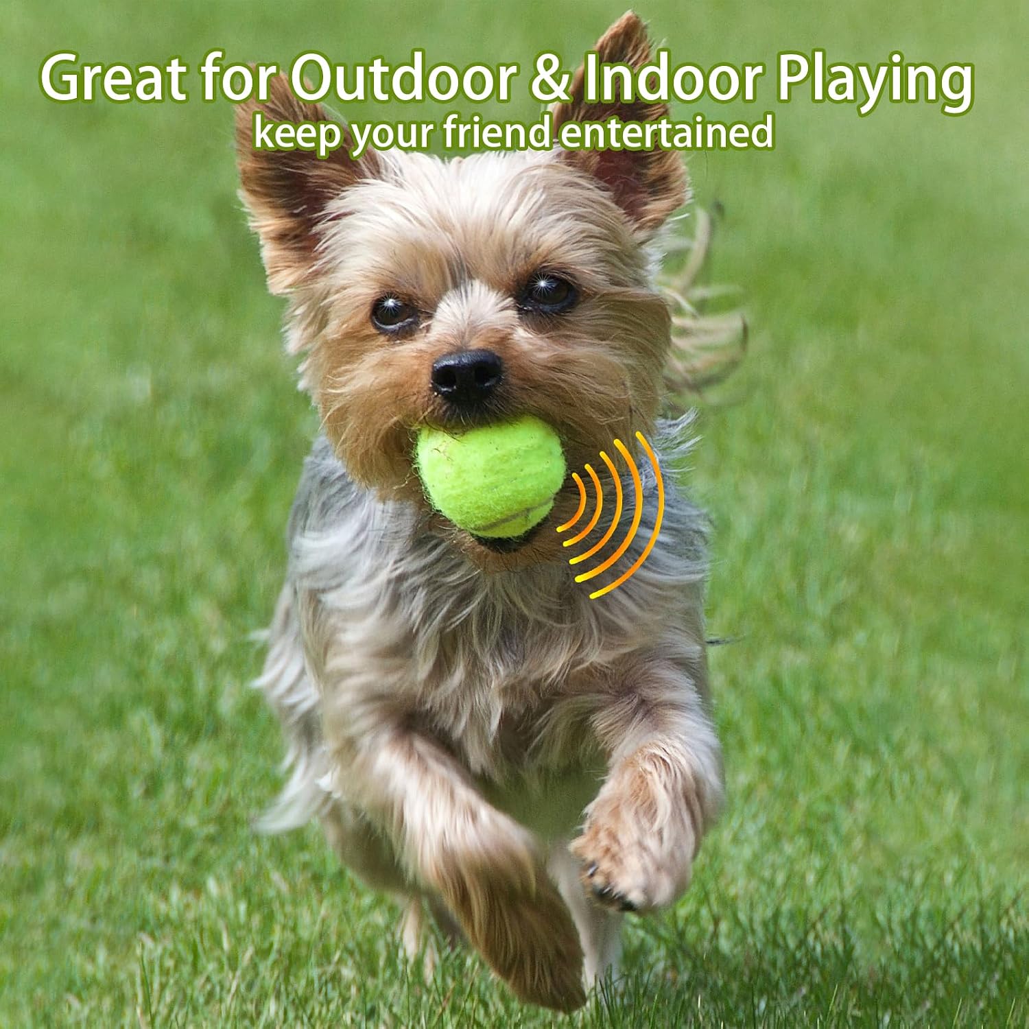 Thumbnail 6 de Magicorange Dog Tennis Balls, 2.5-Inch