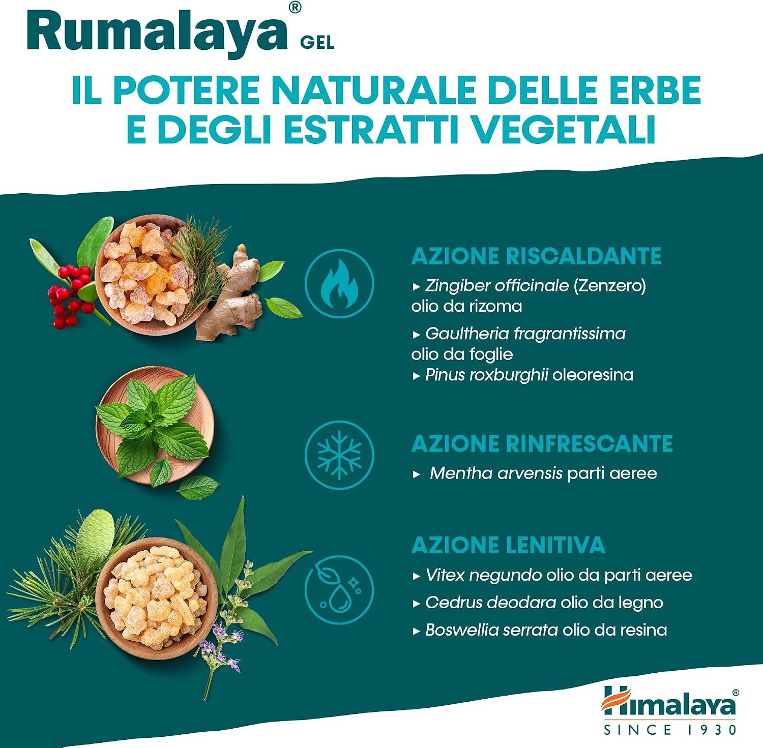 Detalle de Himalaya Rumalaya Gel Lenitivo – Gel Massaggiante rapido 50 g
