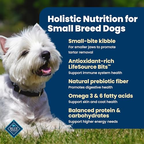 Detalle de Blue Buffalo Life Protection Formula Chicken Small Breed Dry Dog Food, 5 lb