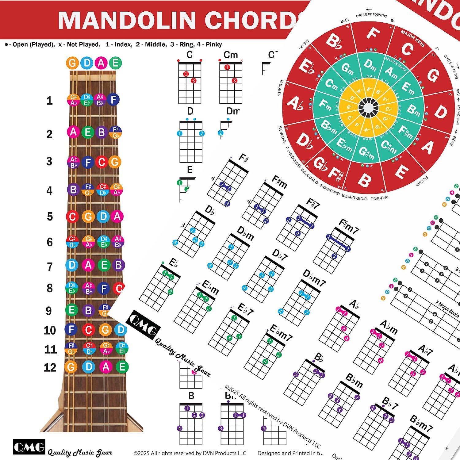 Detalle de QMG Mandolin Chord Chart, Laminated