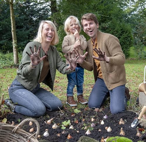 Thumbnail 7 de DUTCH BULBS EXCLUSIVE PLANTS FROM HOLLAND Bulbos de tulipán Super Collection 50 piezas 🌱