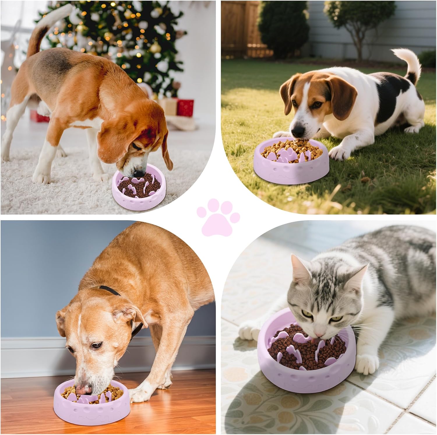 Thumbnail 6 de TranRantic Slow Food Hundenapf aus Silikon (lila) mit Spirallabyrinth und Saugnapfboden