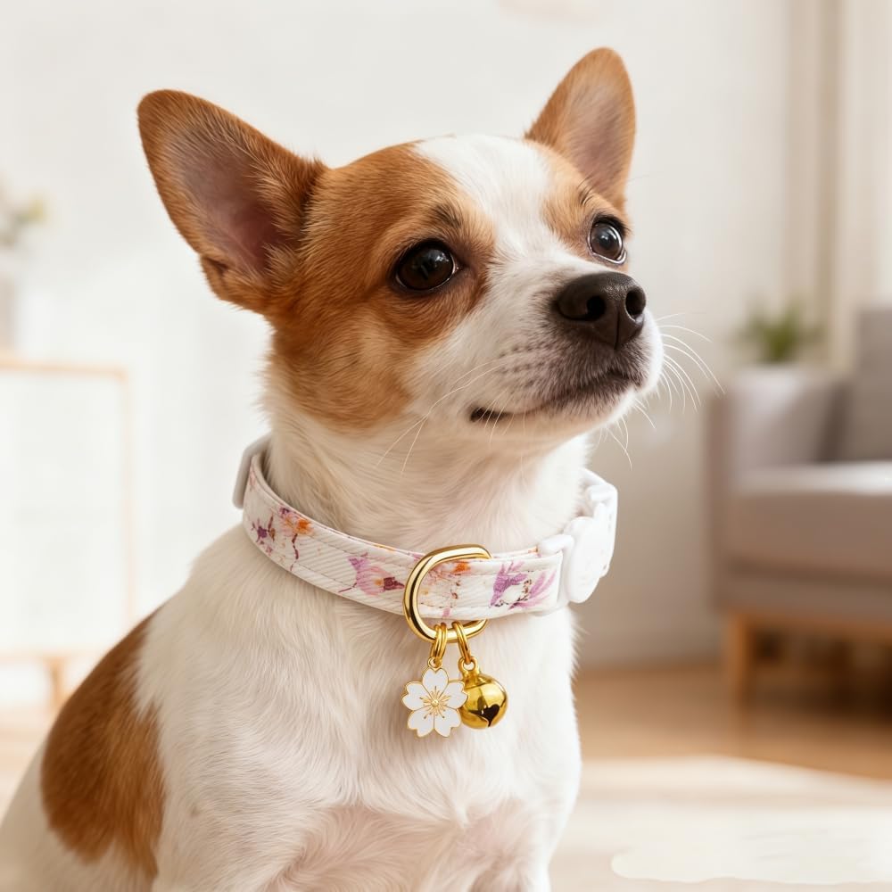 Detalle 1 de MAJIAYU Cat Collars, 2-Pack