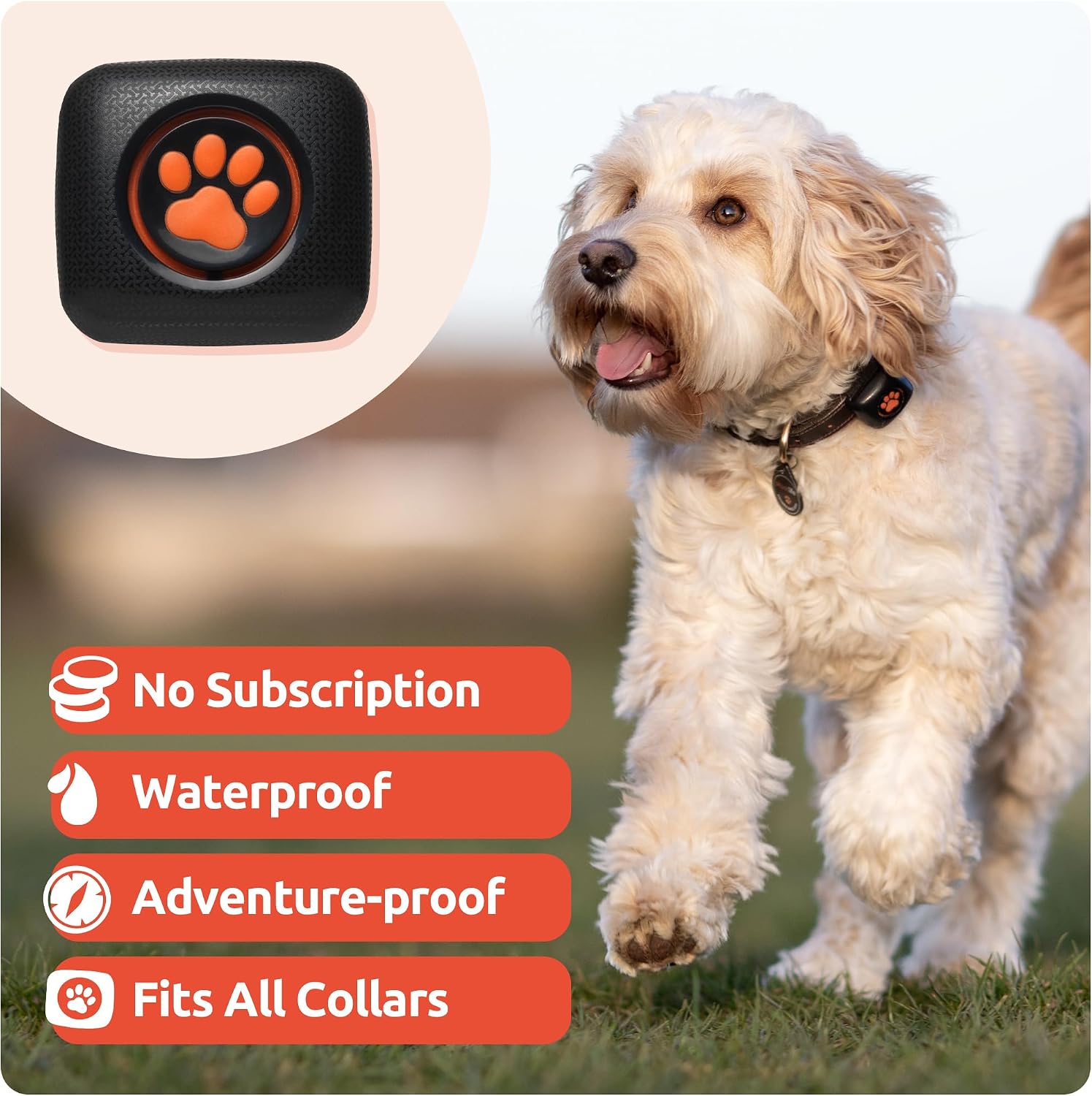 Detalle de PitPat dog activity monitor, no GPS