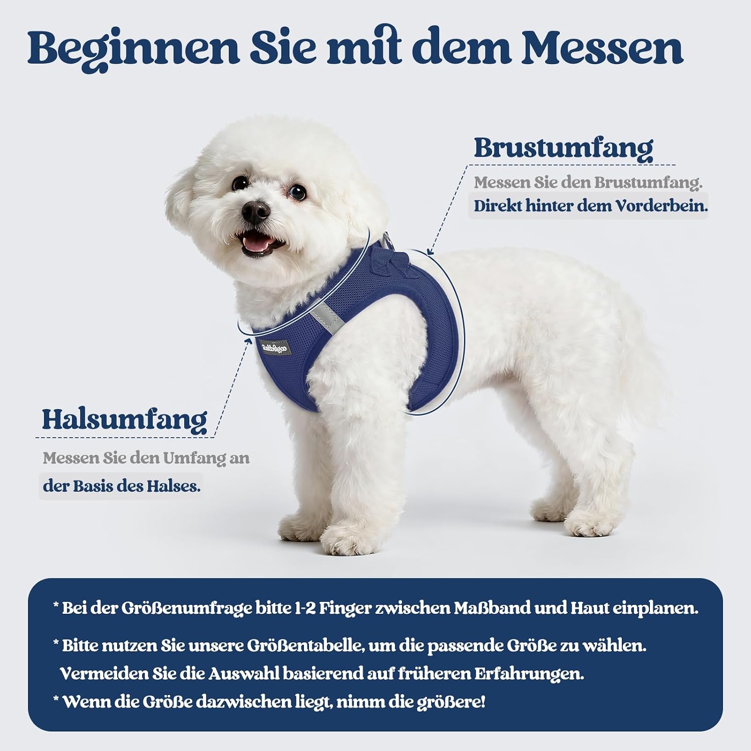 Detalle de rabbitgoo Hundegeschirr Kleine Hunde mit Leine (Step-in) – Dunkelblau, Größe S