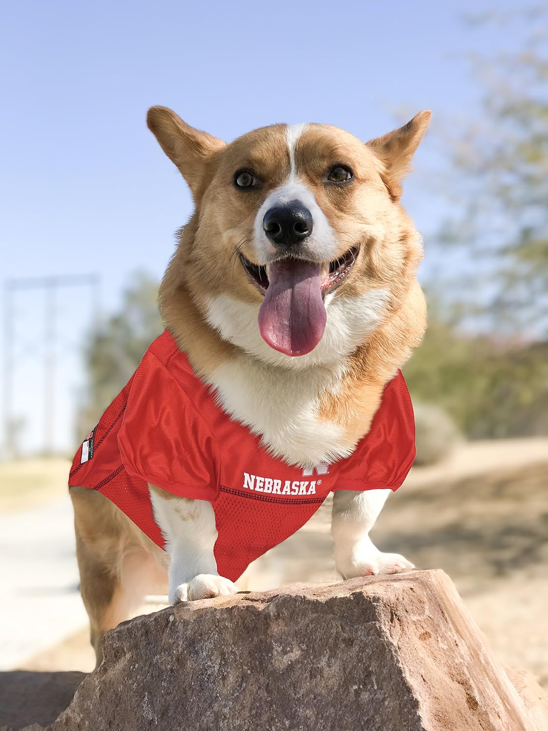 Detalle de Pets First NCAA Nebraska Cornhuskers Mesh Jersey for Dogs & Cats, Medium