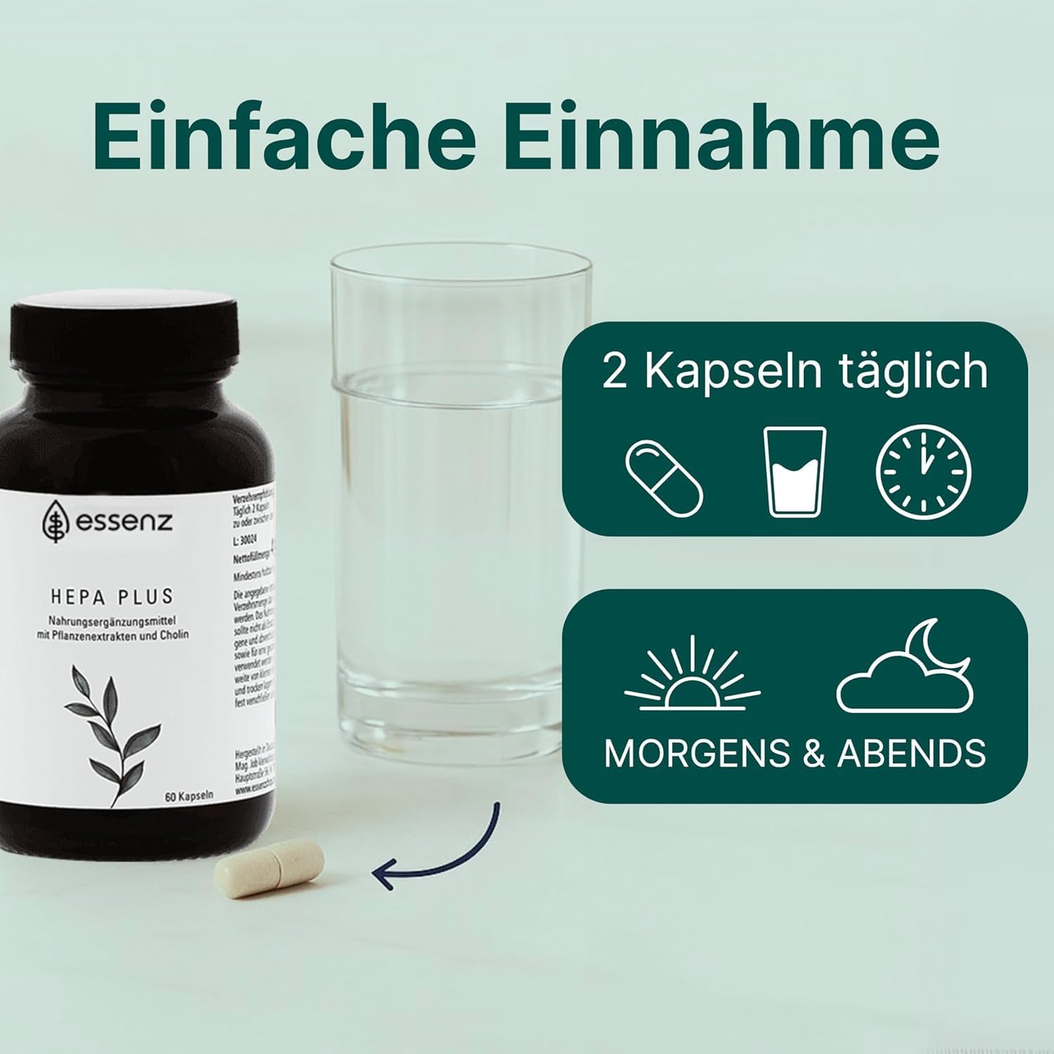 Thumbnail 5 de ESSENZ Hepa Kapseln mit Mariendistel, Artischocke & Löwenzahn (60 Kapseln) – Nahrungsergänzung zur Leberunterstützung