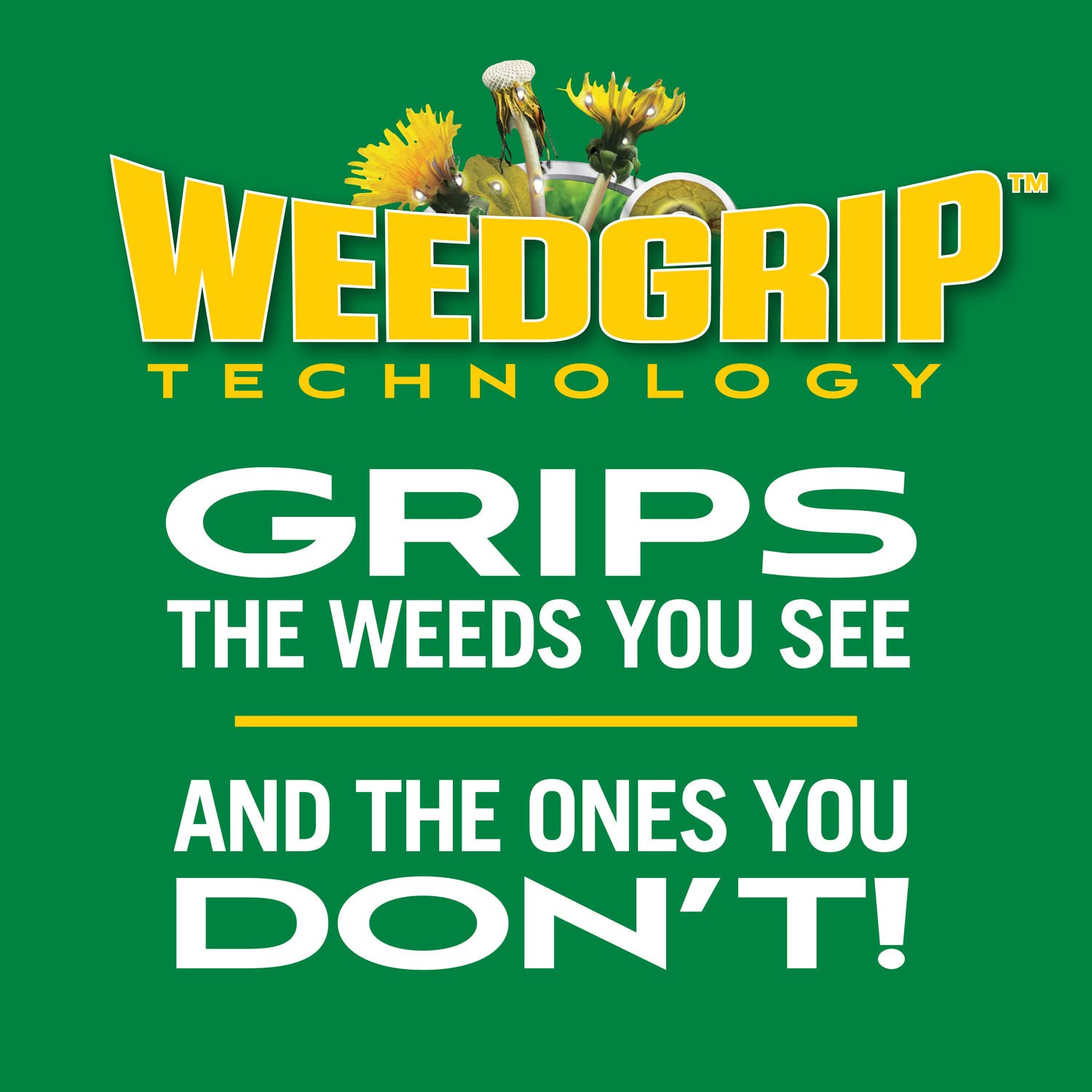 Detalle 2 de Scotts Weed & Feed3 Lawn Treatment, 42.87 lb