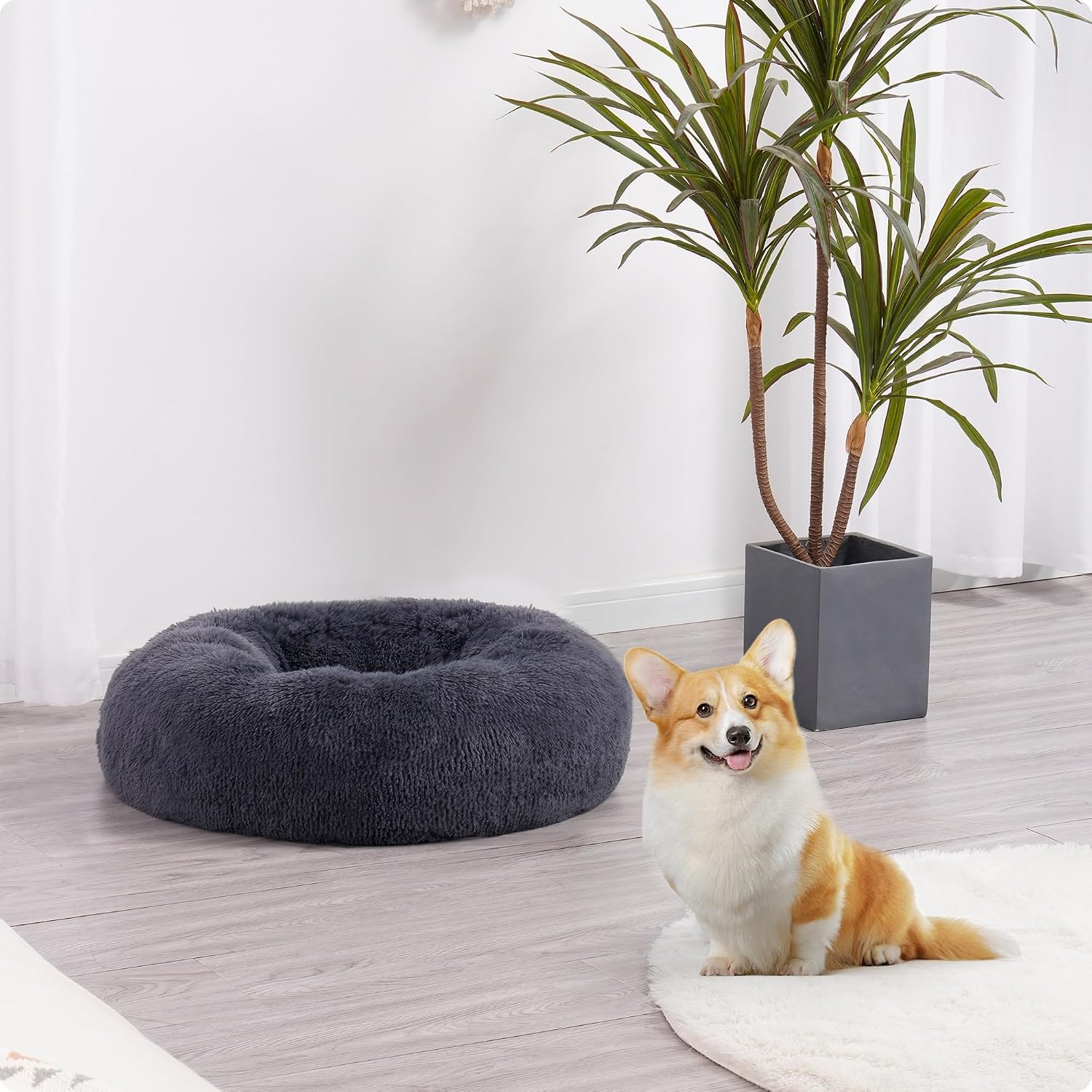 Thumbnail 1 de HMTOPE orthopädisches rundes Hundebett 70 cm Ø – dunkelgraues Donut-Kuschelkissen, waschbar