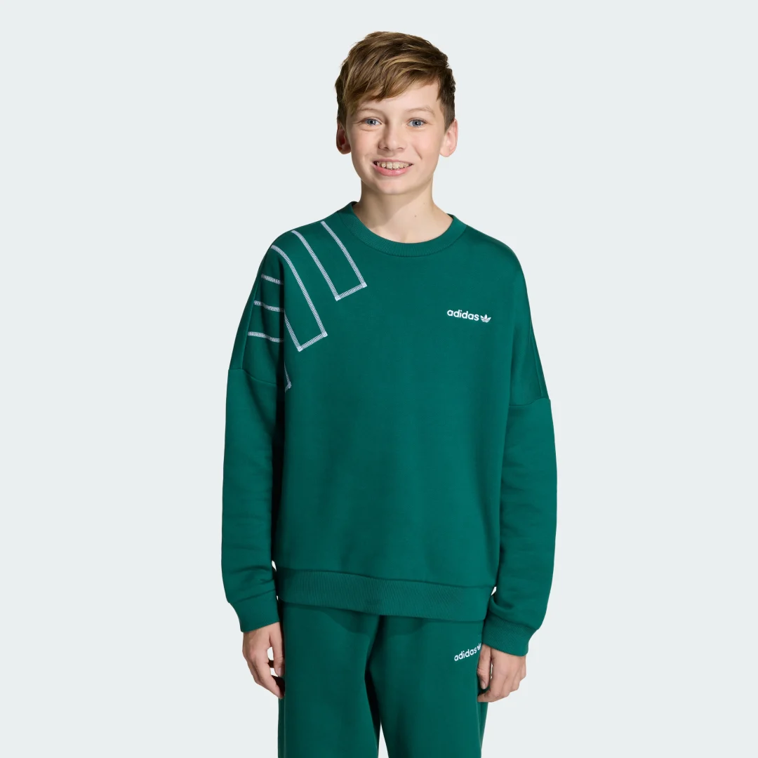 Detalle de Sudadera de cuello redondo holgada BLOCKED de Adidas – Verde