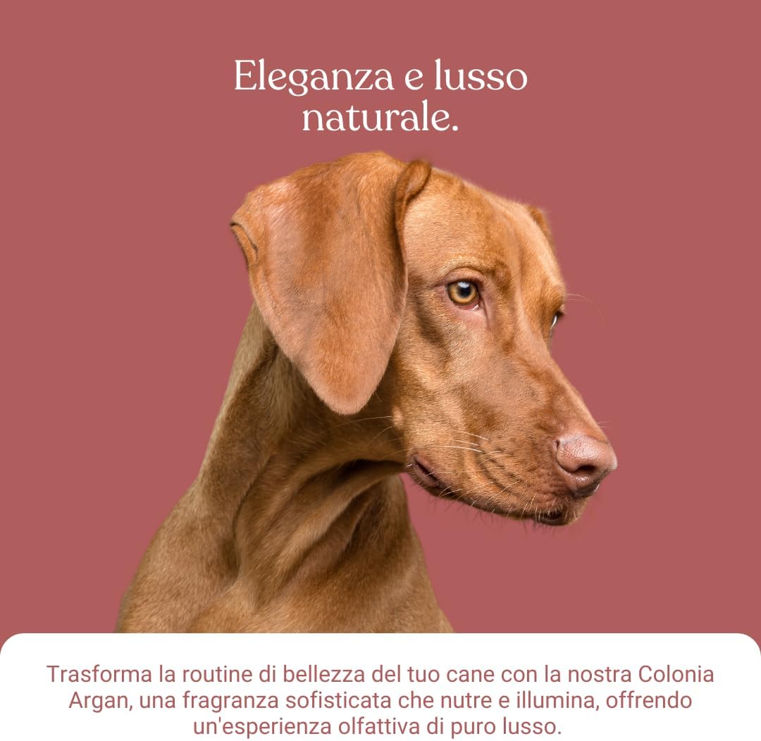 Detalle de Bau Profumo per Cani Lunga Durata – Deodorante Cane con Oli Essenziali, Argan e Patchouli