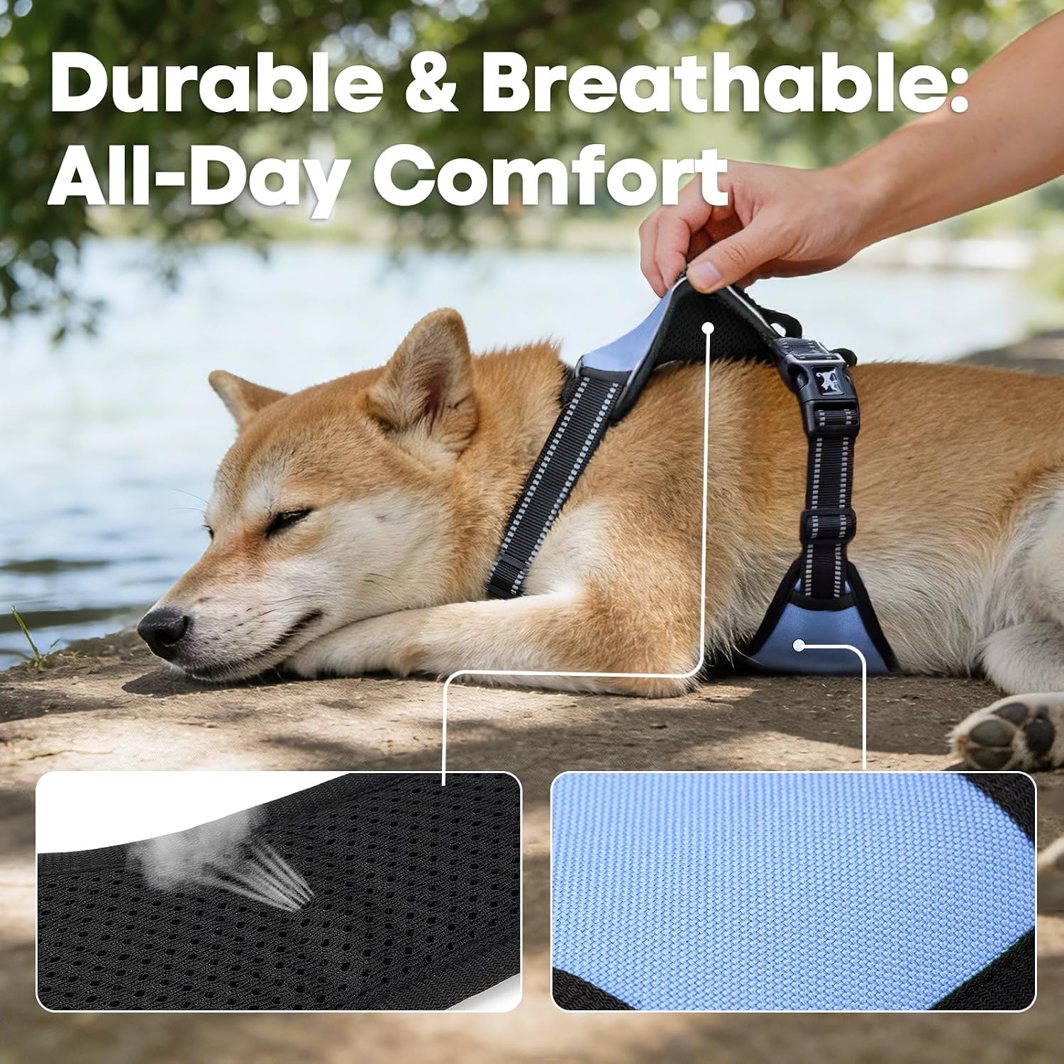 Thumbnail 6 de No Pull Dog Harness with Reflective 2-Leash