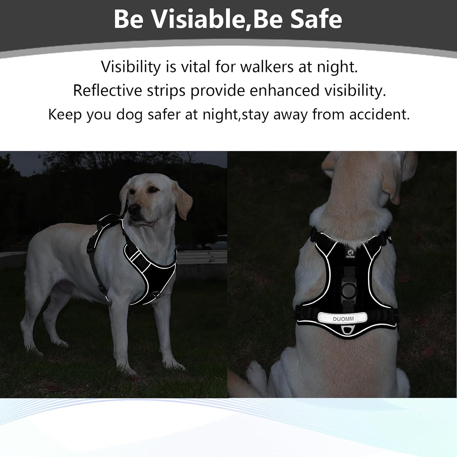 Detalle 2 de Dog Harness, M