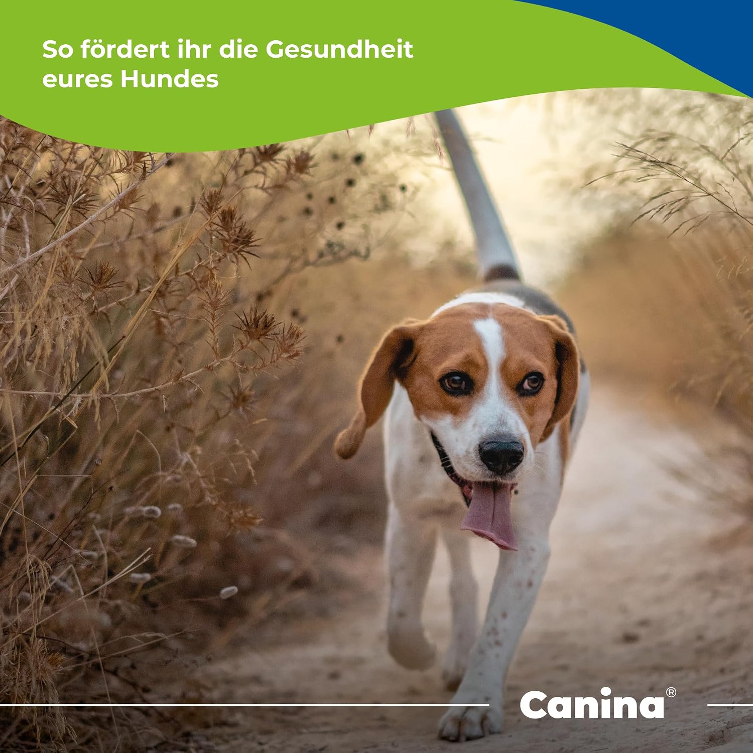 Detalle de Canina CALCINA mączka kostna dla psów, proszek 3 kg