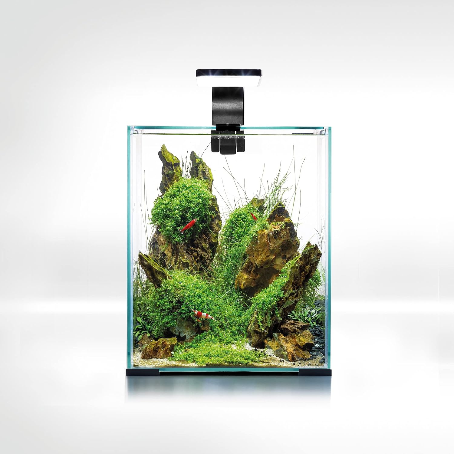 Detalle de Aquael SHRIMP SET SMART D&N 20 CZARNY ECOM – zestaw akwariowy 19 l