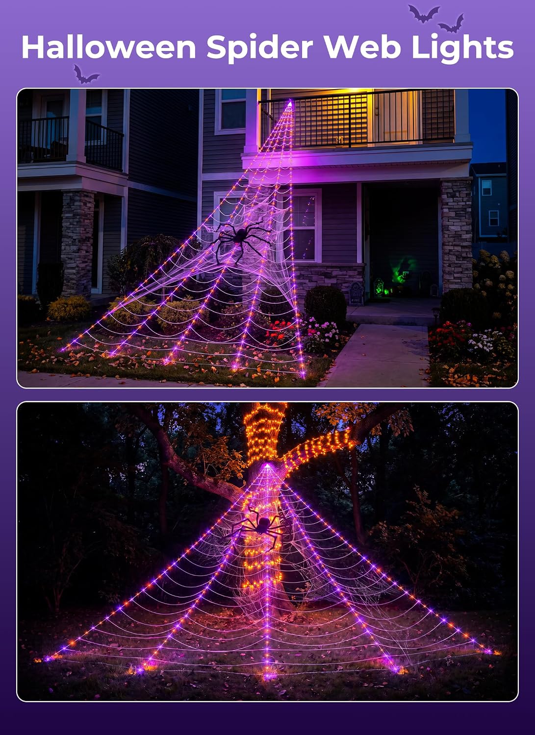 Thumbnail 4 de Brightown Spider Web Lights, 255 LEDs