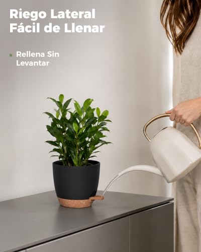 Detalle de Bamworld Macetas Autorriego de Interior (Pack 6, 13–20 cm) con Base Integrada