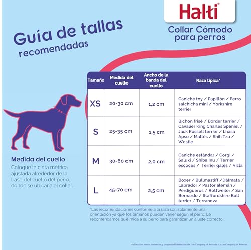 Thumbnail 5 de HALTI Collar cómodo para perros Talla M morado