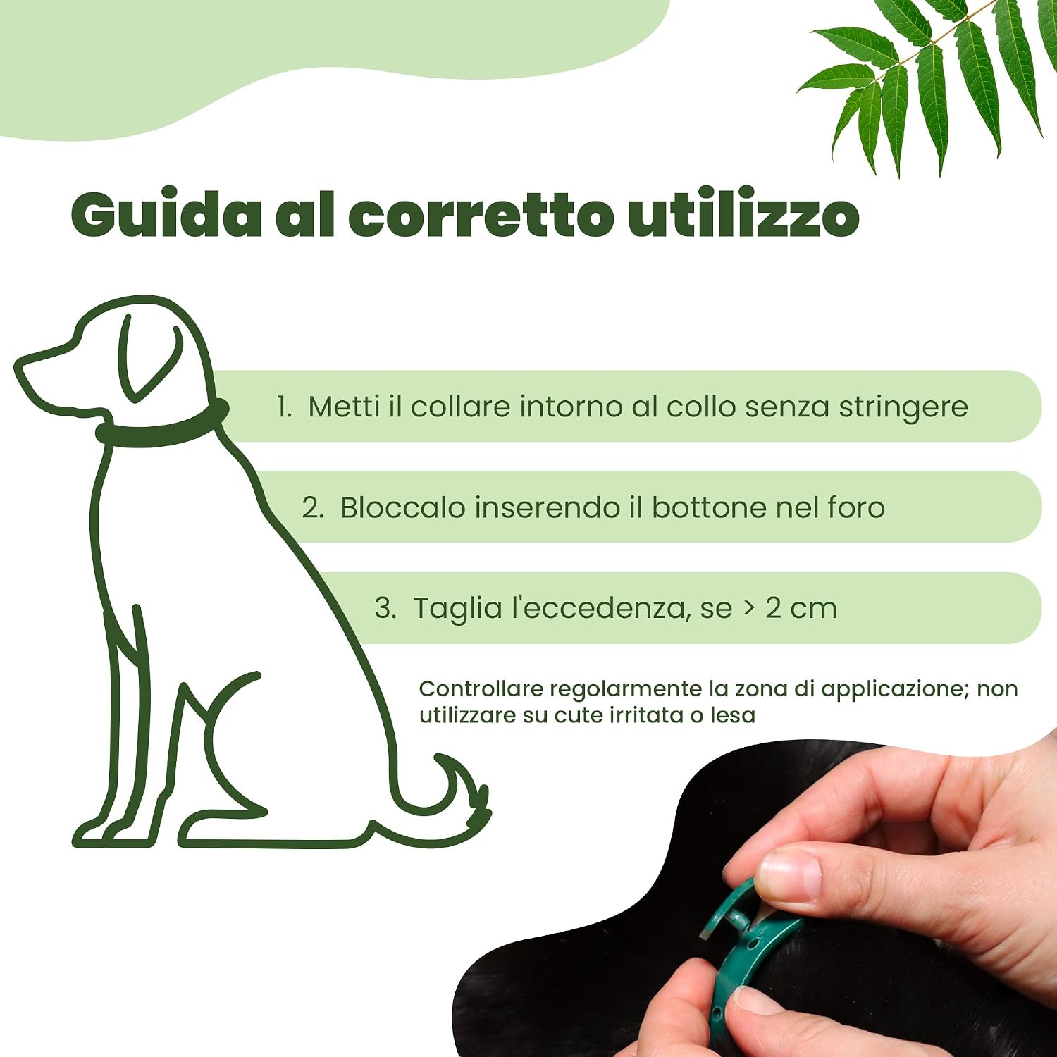 Detalle 2 de CAMON Collare Protettivo per Cane (>10kg) con Olio di Neem, 60 cm: protezione naturale fino a 2 mesi