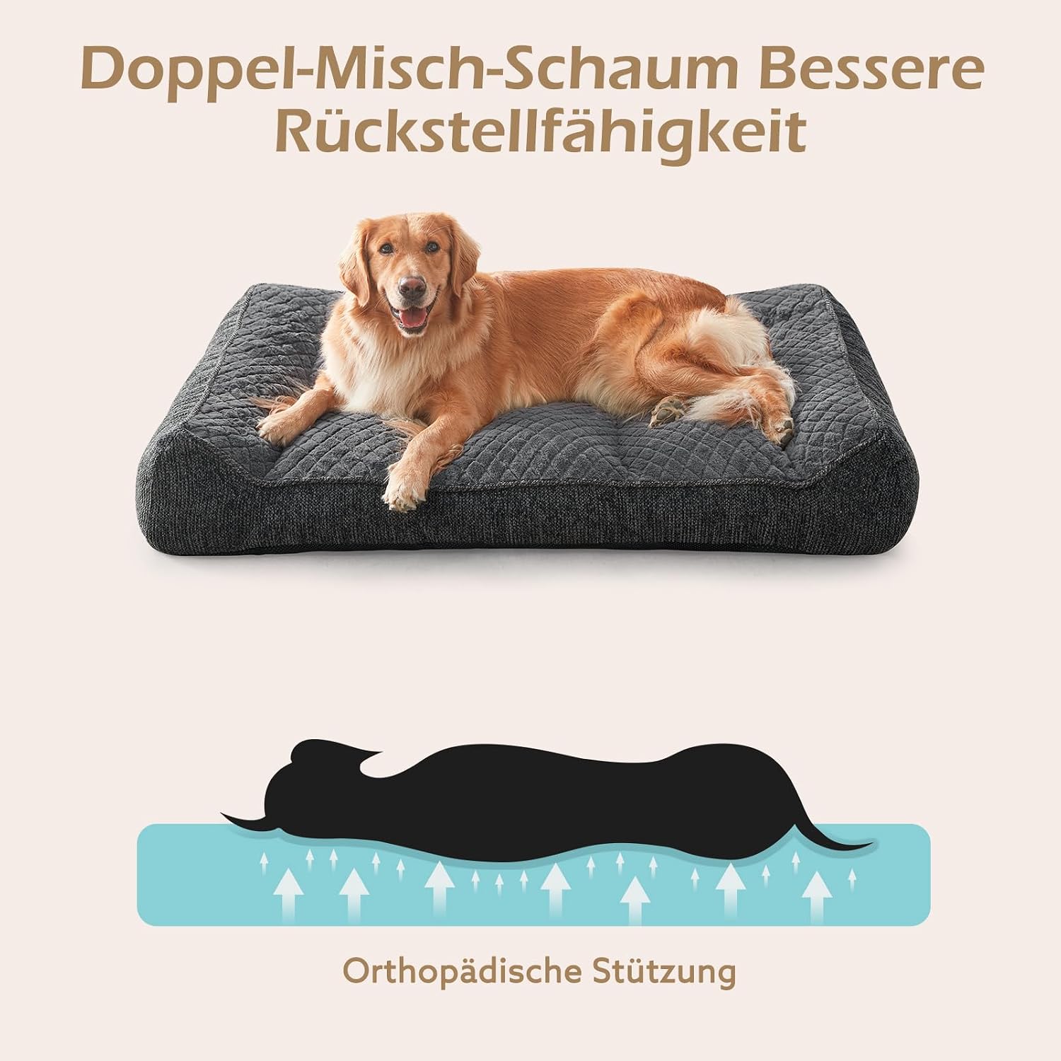 Thumbnail 3 de JOEJOY Orthopädisches Hundebett Grosse Hunde