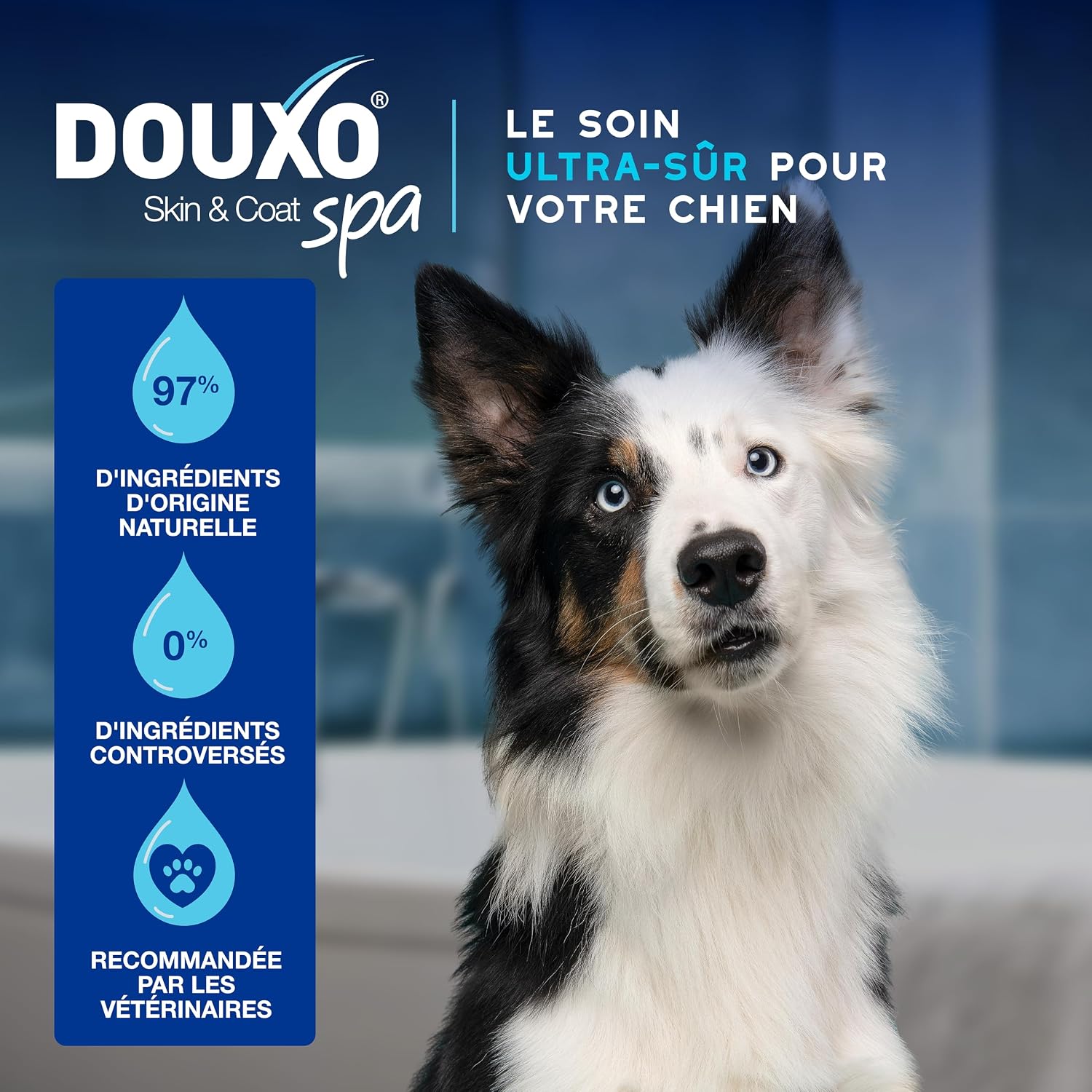 Detalle 2 de DOUXO Skin & Coat Spa Ultra-Safe Mousse sans rinçage pour Chiens – 150 ML
