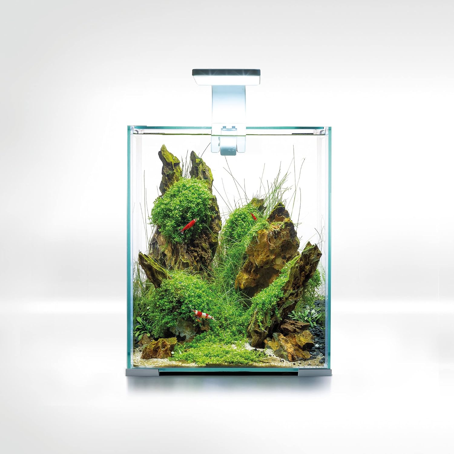 Detalle de Aquael SHRIMP SET SMART D&N 20 – białe akwarium 19 l z filtrem i oświetleniem
