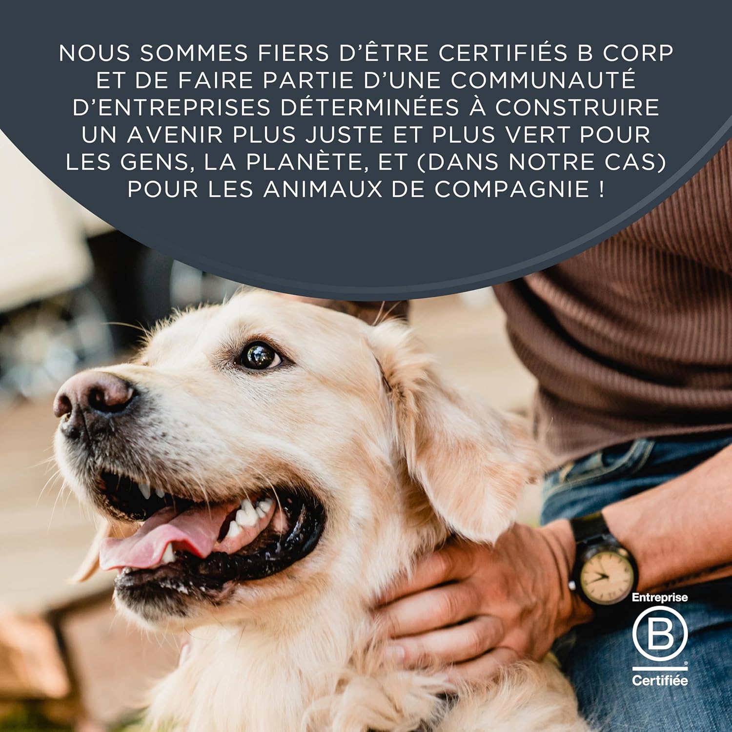 Detalle de Encore Alimentation Humide Premium pour Chiens Adultes – Poulet en Bouillon, Lot de 20 boîtes de 156 g