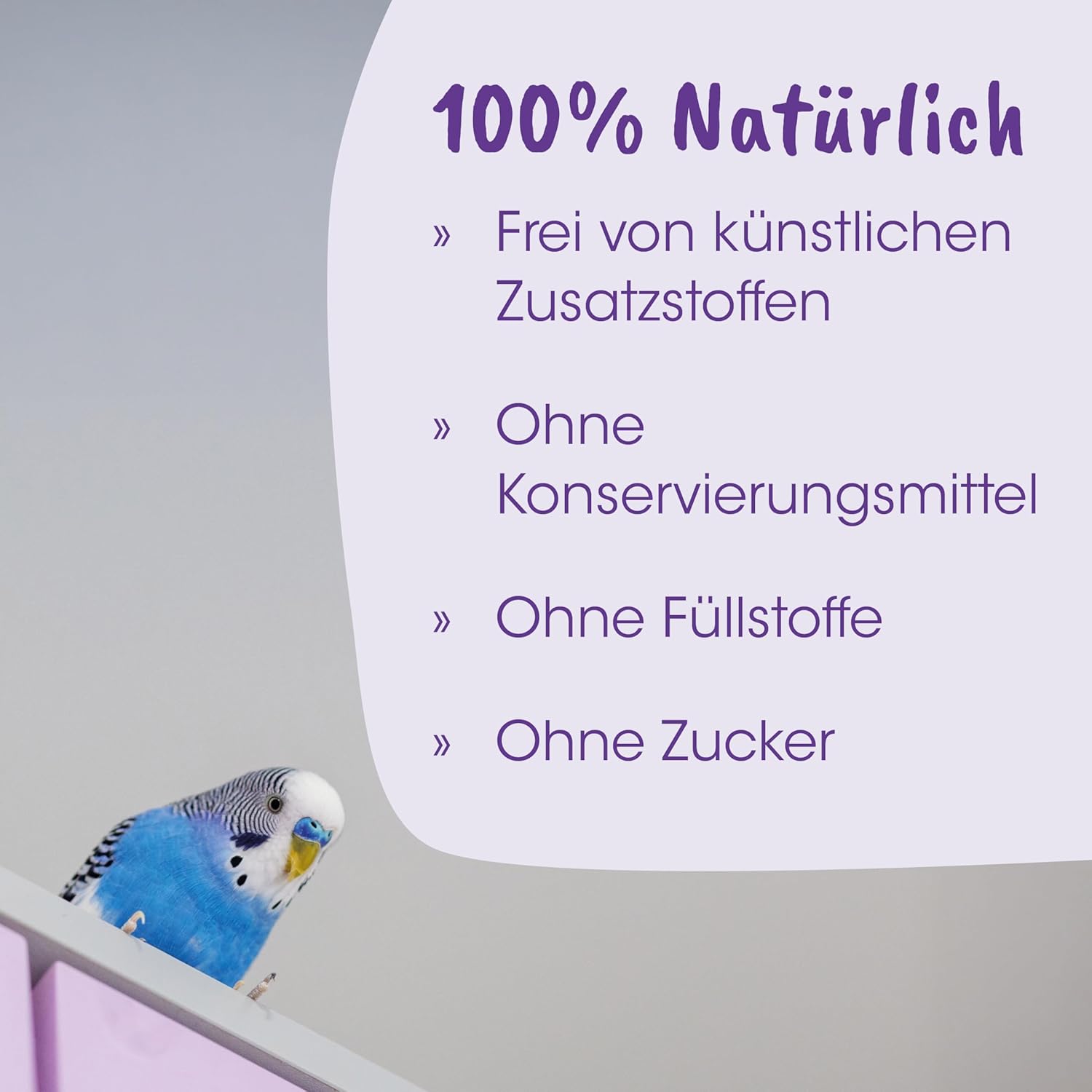 Detalle de cdVet DarmRein 100ml – Ergänzungsfuttermittel für Ziervögel & Exoten mit natürlichen Kräuterextrakten
