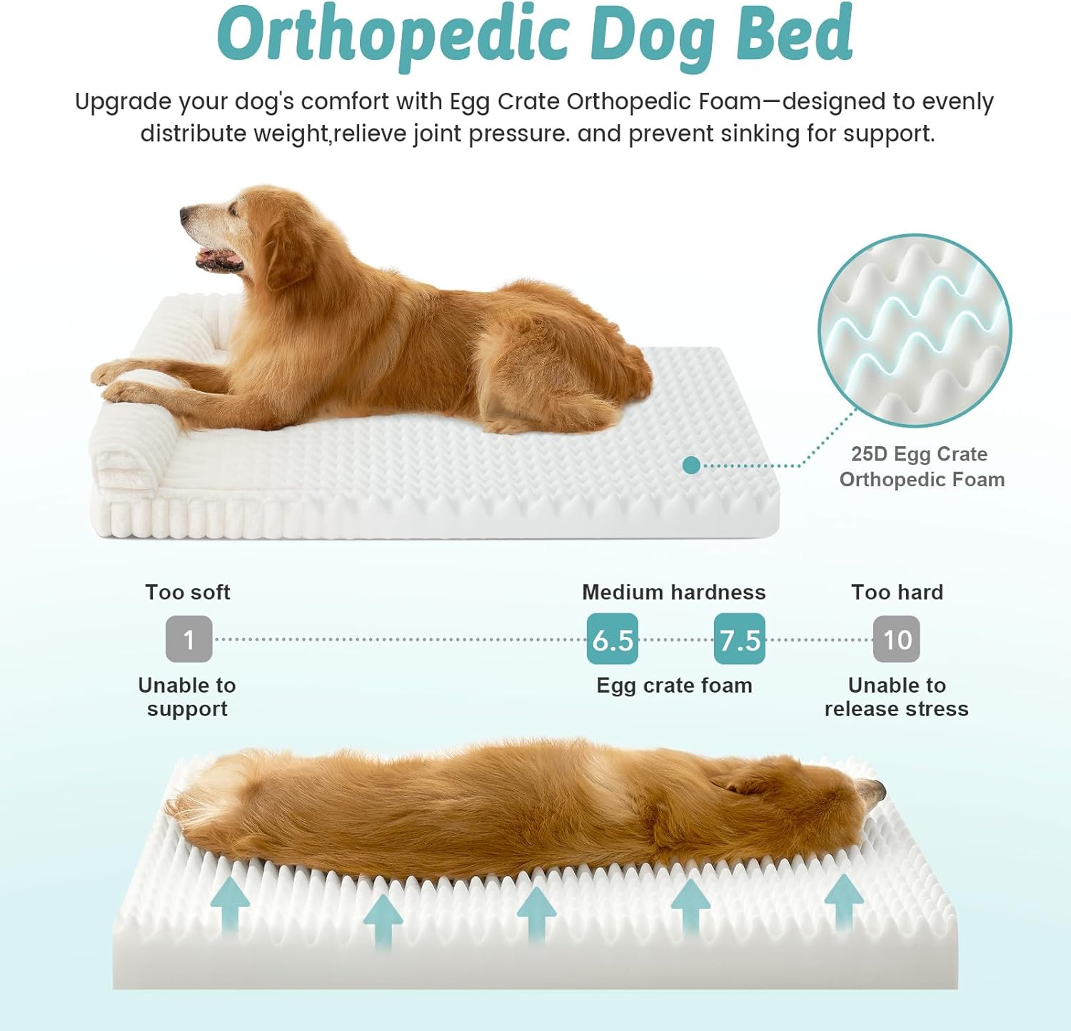 Thumbnail 3 de COZY KISS Orthopedic Dog Bed for Medium Dogs