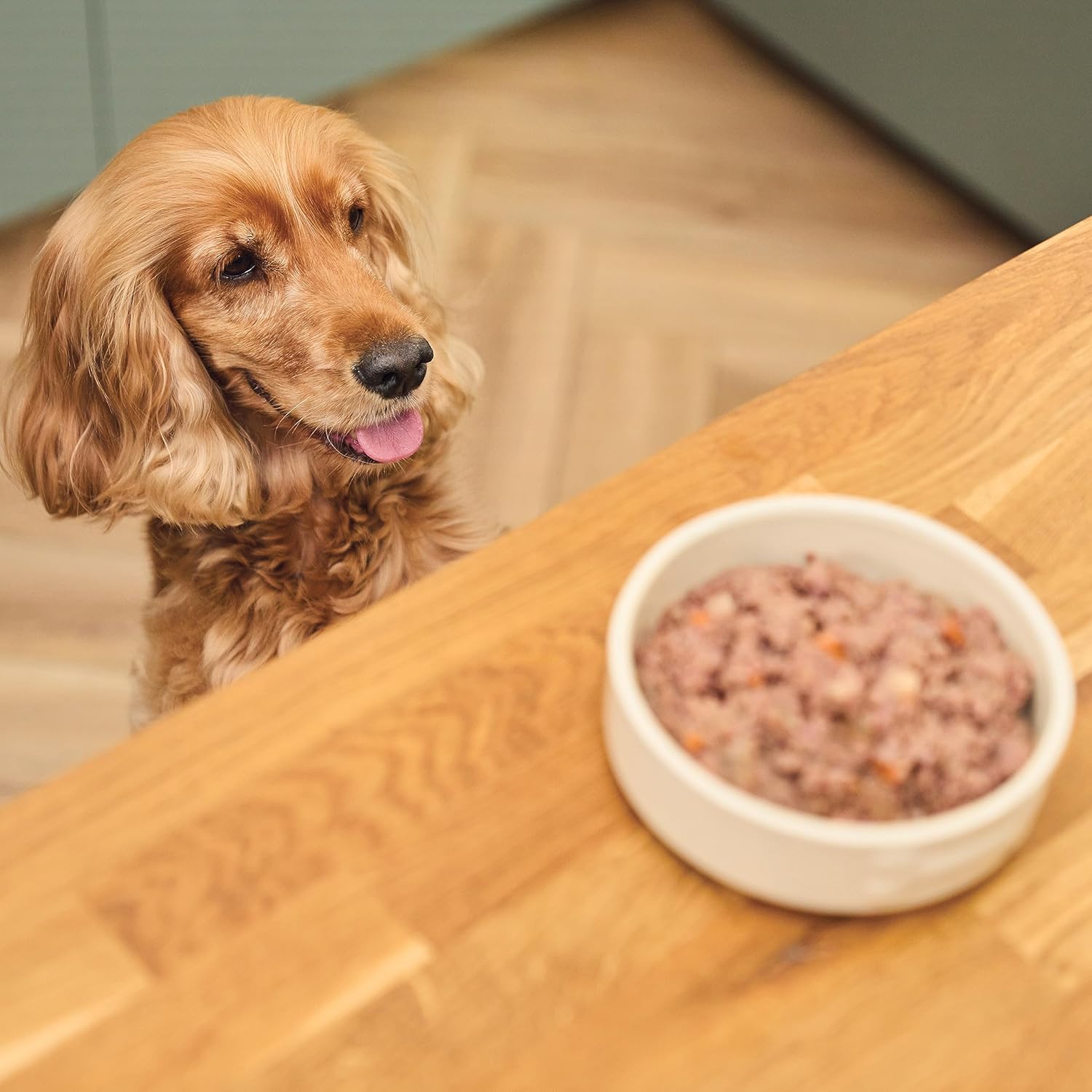 Detalle 1 de Lily's Kitchen Cibo Umido per Cani 6er Vaschette (6 x 150g) – Multipack