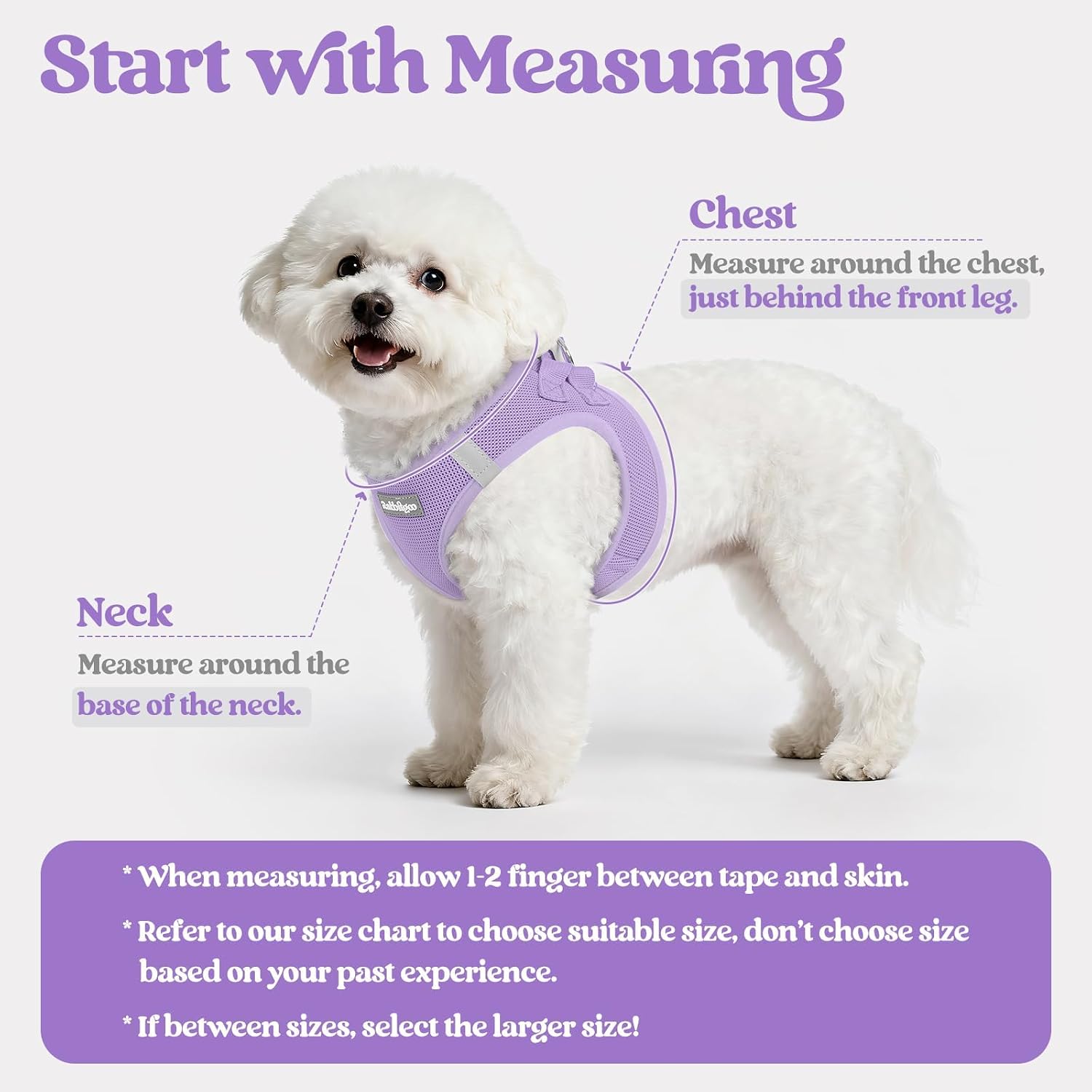 Detalle de rabbitgoo Small Dog Step-in Soft Mesh Harness & Lead Set (Reflective Strips) – Light Purple, S