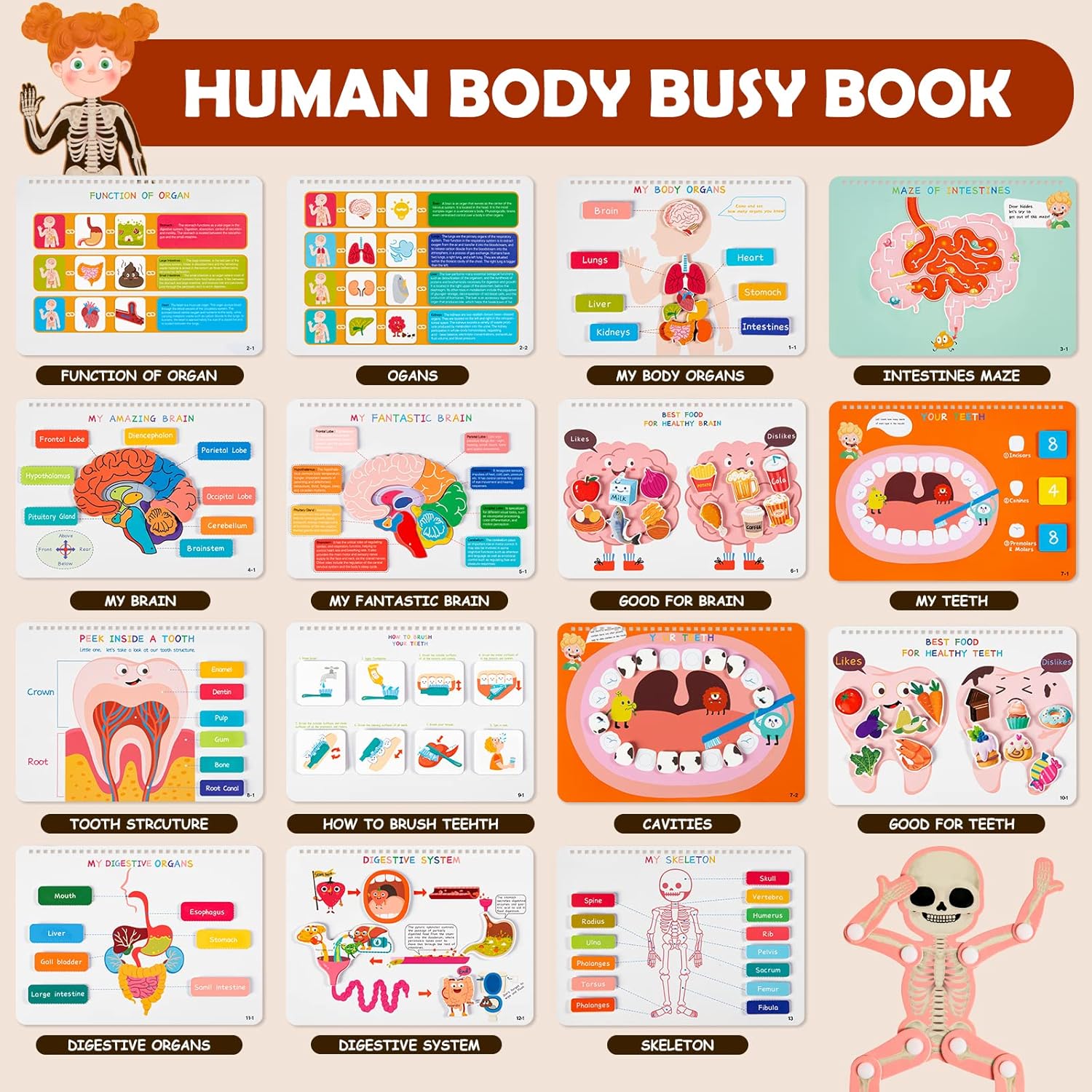 Detalle de Freebear Montessori Busy Book: Human Body Anatomy for Kids