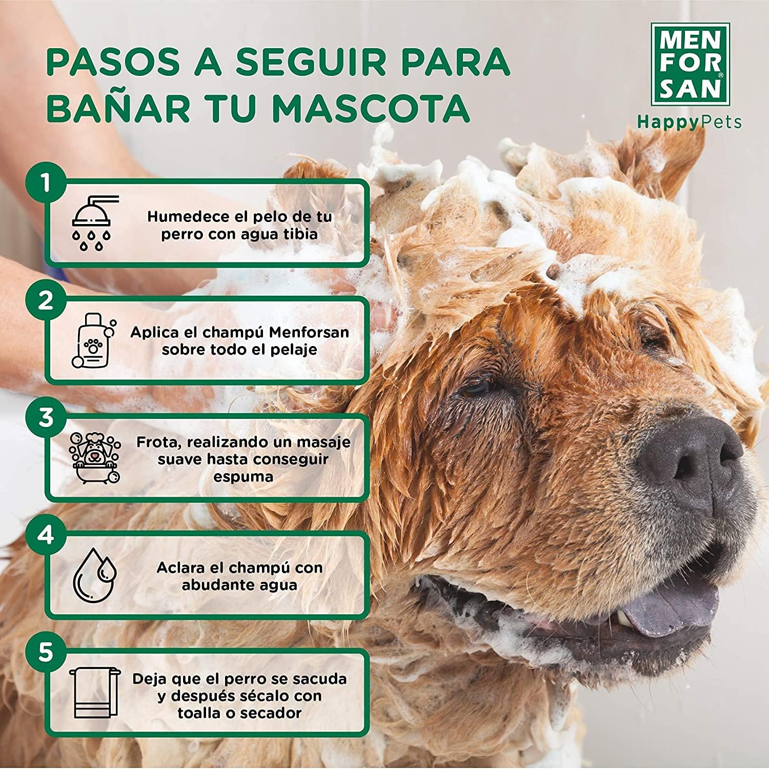 Detalle de MENFORSAN Aloe Vera Shampoo per cani, 1 litro, confezione da 2 – detergente delicato a base di aloe vera